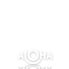 Decal | ALOHA Logo