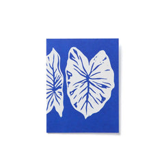 Everyday Card Pack | SP26 Multi Pack